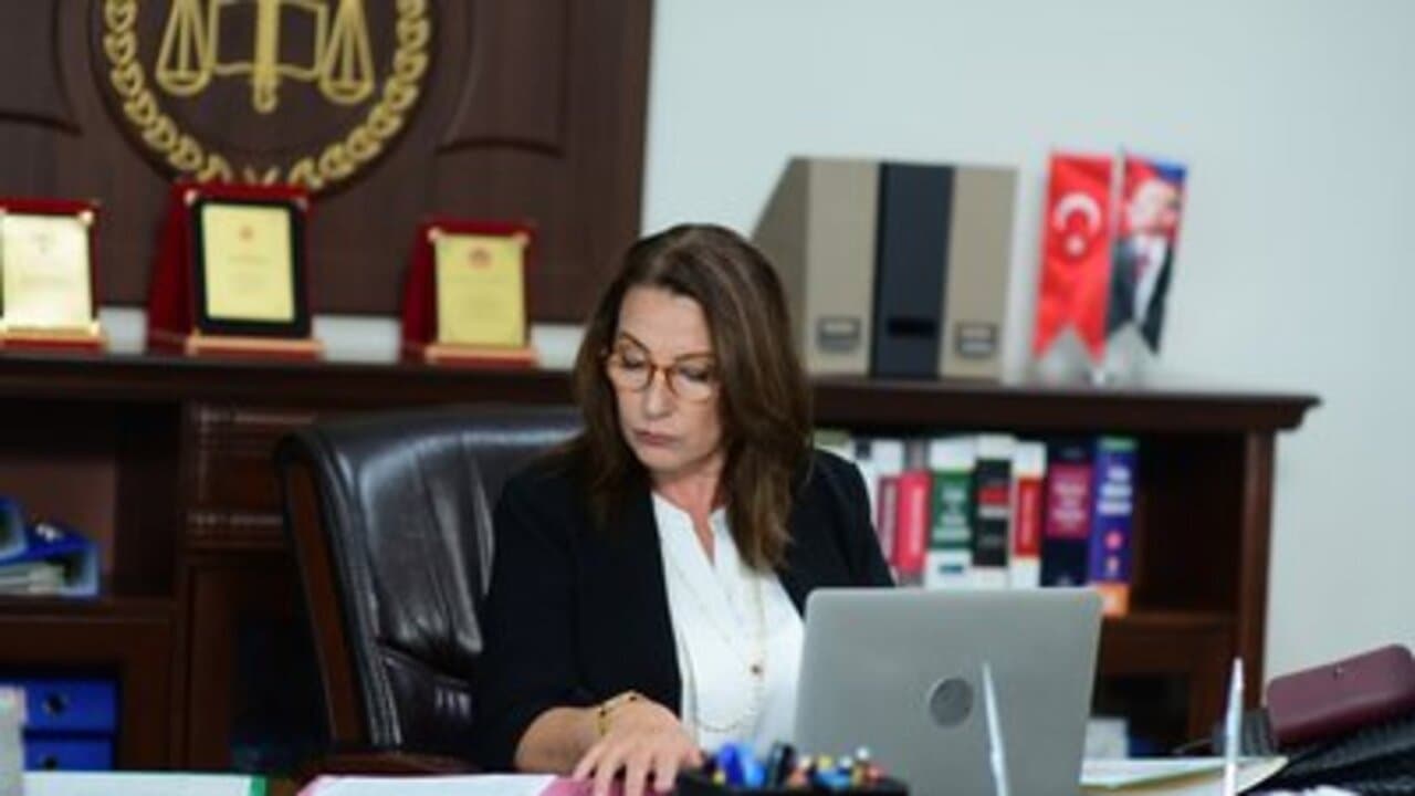 149 სერია