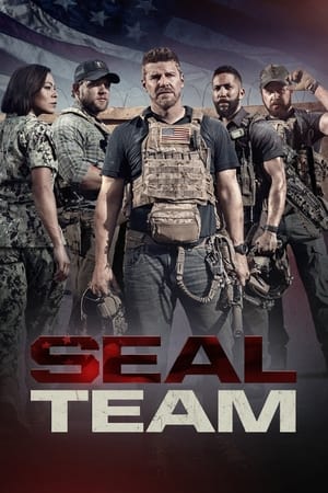 SEAL Team / ზღვის ლომები