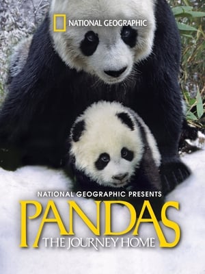 Pandas: The Journey Home / პანდები: შინ დაბრუნება