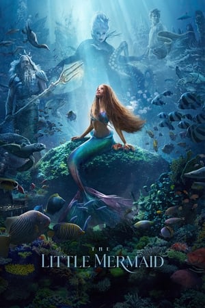 The Little Mermaid / პატარა ქალთევზა