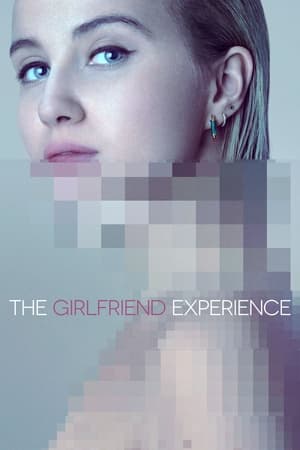 The Girlfriend Experience / გოგონა გამოძახებით