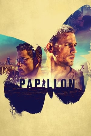 Papillon / ფარვანა