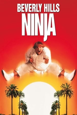 Beverly Hills Ninja / ნინძა ბევერლი ჰილზიდან