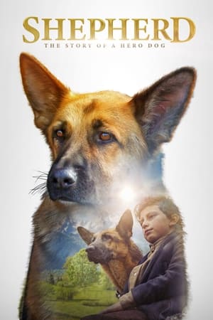 Shepherd: The Hero Dog / ნაგაზი: ებრაული ძაღლის ამბავი