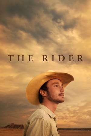 The Rider / მხედარი