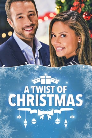 A Twist of Christmas / საშობაო ბედის ირონია