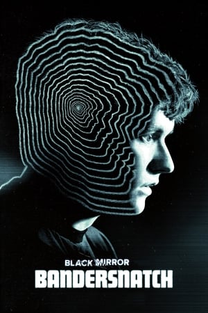 Black Mirror: Bandersnatch / შავი სარკე ფილმი