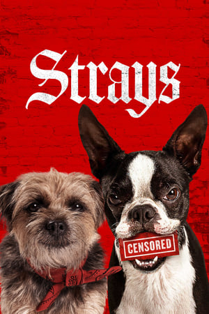 Strays / ქუჩის ძაღლები