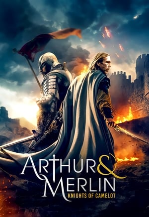 Arthur & Merlin: Knights of Camelot / არტური და მერლინი