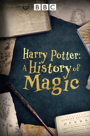 Harry Potter - A History Of Magic / ჰარი პოტერი - მაგიის ისტორია