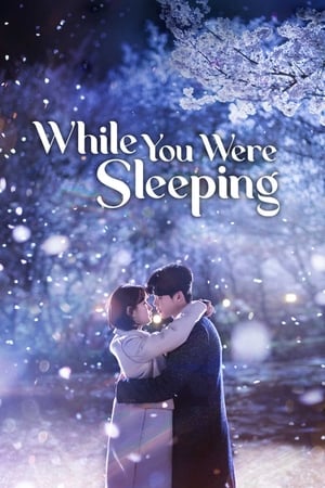 While You Were Sleeping / სანამ შენ გეძინა