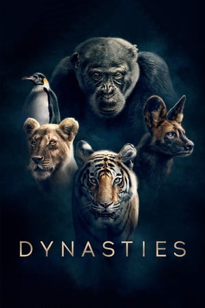 Dynasties / დინასტიები