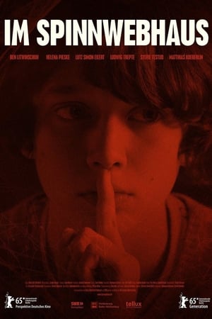 Spiderwebhouse / ობობის ქსელი