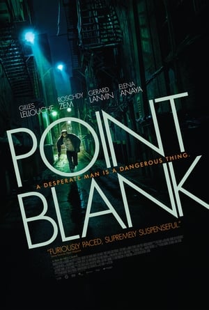 Point Blank / დამიზნებით