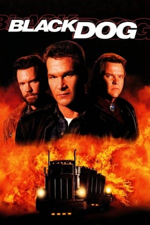 Black Dog / შავი ძაღლი