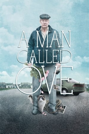 A Man Called Ove / კაცი სახელად ოვი
