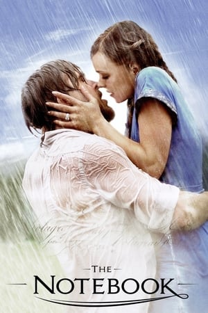 The Notebook / უბის წიგნაკი