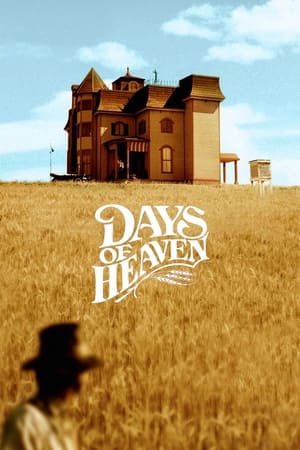 Days of Heaven / მკის დღეები