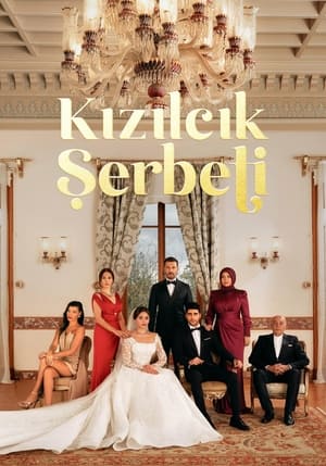 Kızılcık Şerbeti / შერბეთი