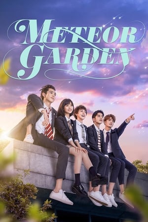 Meteor Garden / მოწყვეტილი ვარსკვლავების ბაღი
