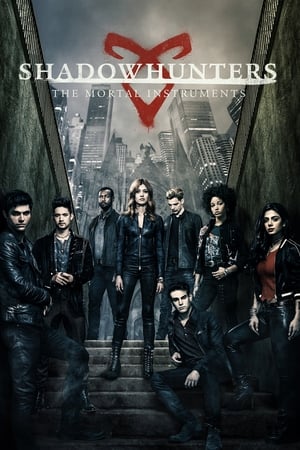 Shadowhunters / ლანდმონადირეები