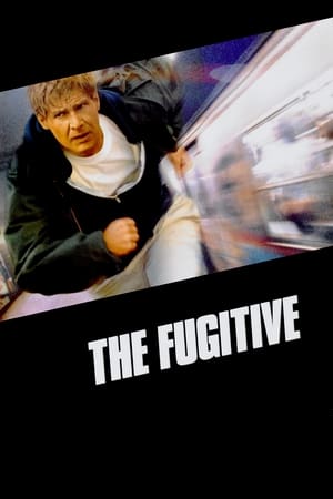 The Fugitive / გაქცეული
