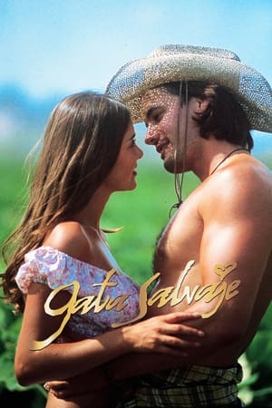 Wild Cat / ველური კატა