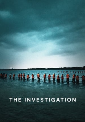 The Investigation / გამოძიება