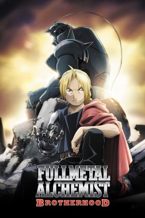 Fullmetal Alchemist: Brotherhood / სრულმეტალისებრი ალქიმიკოსი