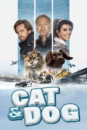 Cat and Dog / არასწორი ცხოველები