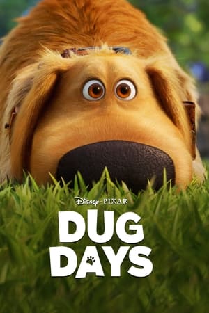 Dug Days / დაგის დღეები