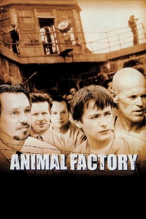 Animal Factory / ცხოველების ფაბრიკა