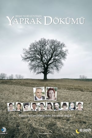 Yaprak Dökümü / სტამბოლის ცა