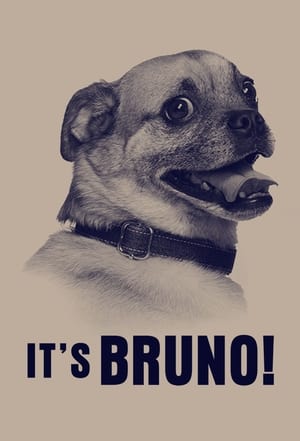 It's Bruno! / ეს ბრუნოა