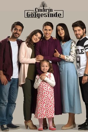 Çınarın Gölgesinde / ძველი საიდუმლო