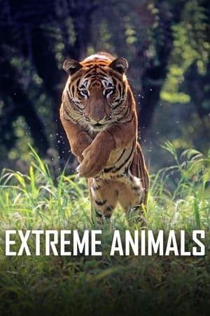 Extreme Animals / ექსტრემალური ცხოველები