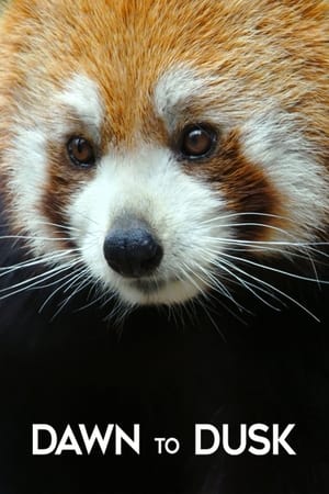 Dawn to Dusk / განთიადიდან დაბინდებამდე