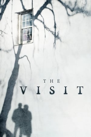 The Visit / ვიზიტი