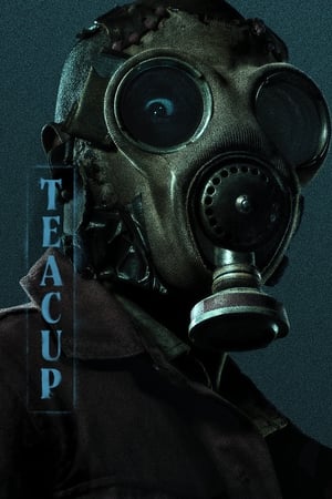 Teacup / ჩაის ფინჯანი