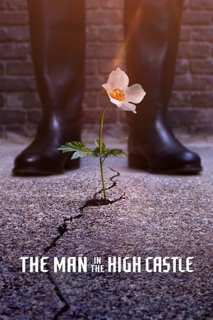 The Man in the High Castle / კაცი მაღალ კოშკში
