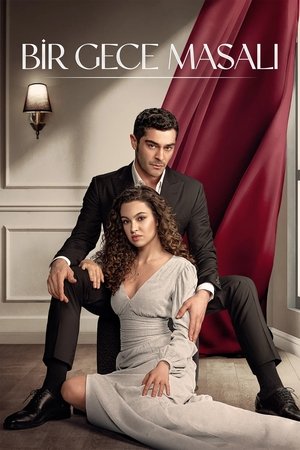 Bir Gece Masalı / ერთი ღამის ზღაპარი 