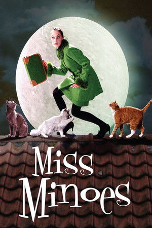 Miss Minoes / ქალბატონი კატა