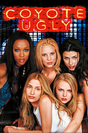 Coyote Ugly / ბარი: საძაგელი კოიოტი