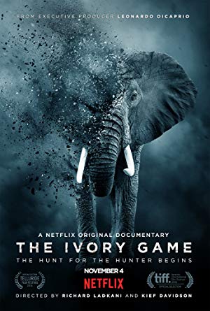 The Ivory Game / ნადირობა სპილოს ძვალზე