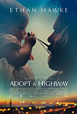 Adopt a Highway / გზას უყურე