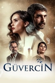 Güvercin / მტრედი