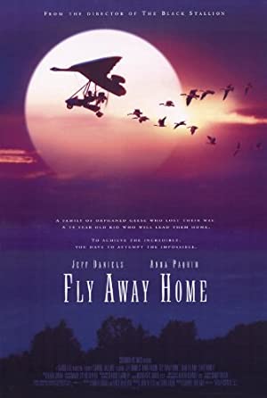 Fly Away Home / გაფრინდით სახლში
