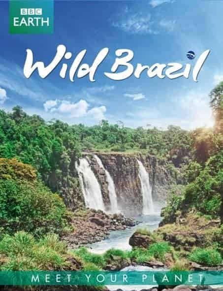 Wild Brazil / ველური ბრაზილია