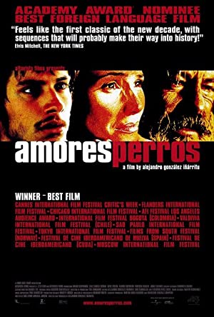 Amores Perros / ძუკნა სიყვარული