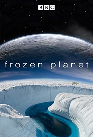 Frozen Planet / გაყინული პლანეტა